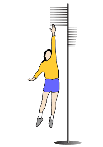 Vertical Jump Vertec